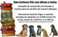 /album/actividades/recoleccion-frazadas-jpg/